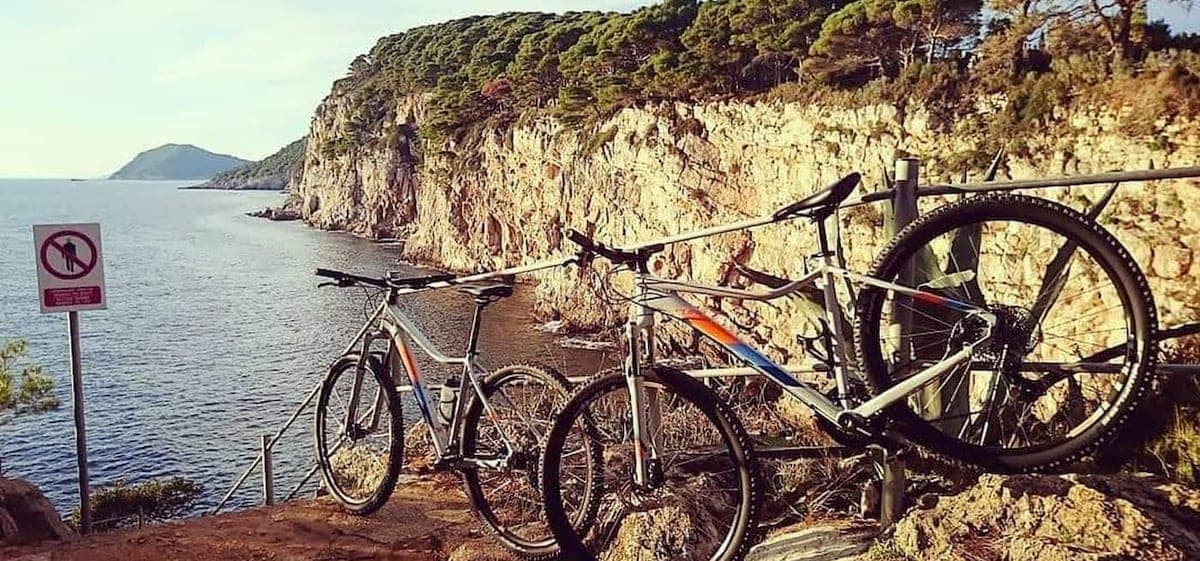 Mountain bike