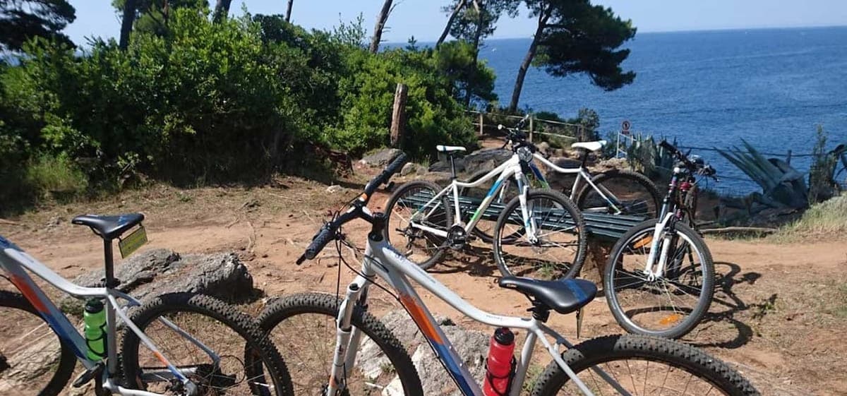 Mountain bike close-up
