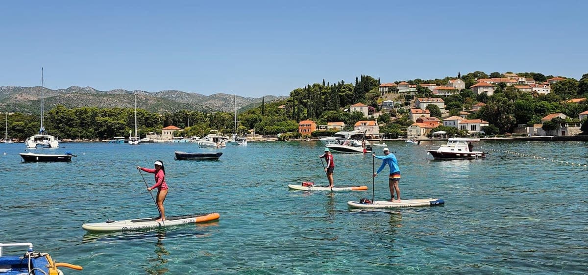 PADDLE BOARD