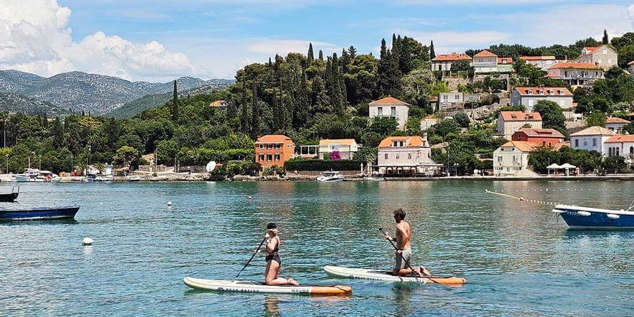 Paddle Board